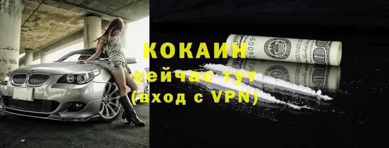 купить  цена  нарко площадка клад  COCAIN Боливия  Дмитриев 